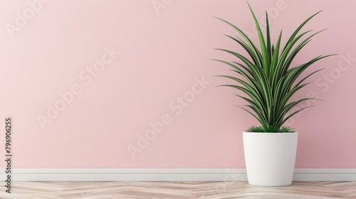   A potted plant before a pink wall with chevron-patterned wooden floor