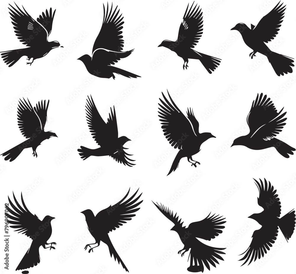 Obraz premium Set of Beautiful Birds black Silhouette