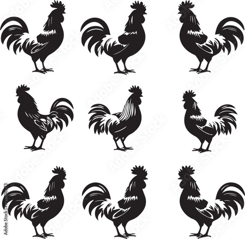 Set of Rooster silhouettes on white background	