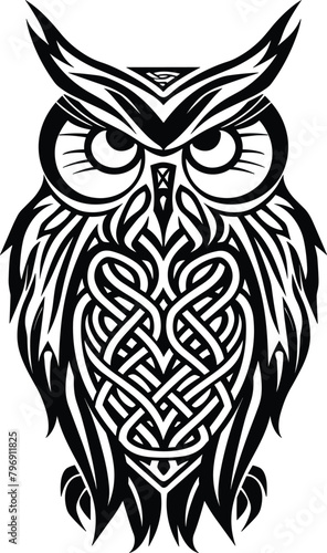 Celtic owl vector illustration, isolated on a white background.