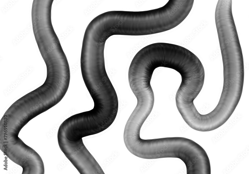 Bold black minimalistic hand drawn illustration shapes acrylic watercolour charcoal ink template white background line abstract high quality texture image Bold black minimalistic hand drawn illustration shapes acrylic watercolour charcoal ink template white background line abstract high quality texture image