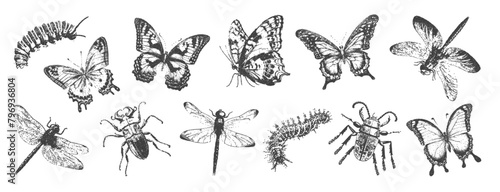 Butterfly, beetle, caterpillar with a photocopy effect. Grainy graininess in the Y2K style. Retro texture for decoration, collages of posters, banners, prints. Vector illustration.