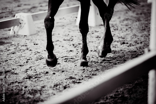 In the black-white photo, a horse is galloping across a sandy arena for equestrian competition. The grace of the sport of horse riding. Sportsmanship and the beauty of animals in motion.