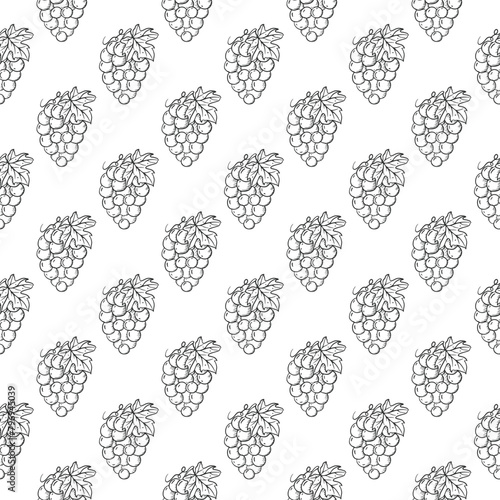 Seamless pattern with sketch grapes in vintage style. Vector hand drawn doodle background © OWLISKO DESIGN