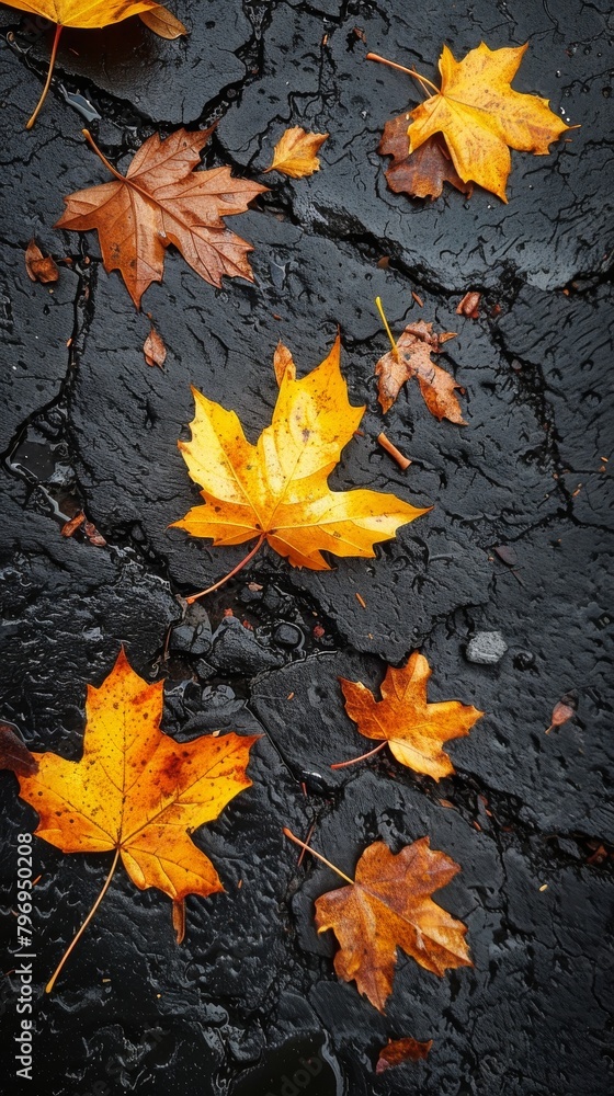 Group of Yellow Leaves on Wet Ground Group of Yellow Leaves on Wet Ground
