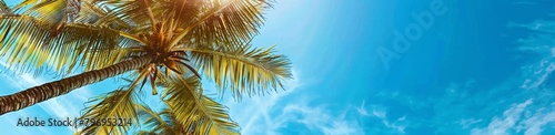 Beautiful palm trees against the blue sky on sunny day, banner with copy space area, summer vacation concept Generative AI