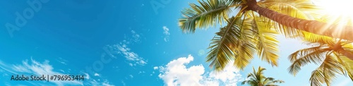 Beautiful palm trees against the blue sky on sunny day  banner with copy space area  tropical background  banner design Generative AI