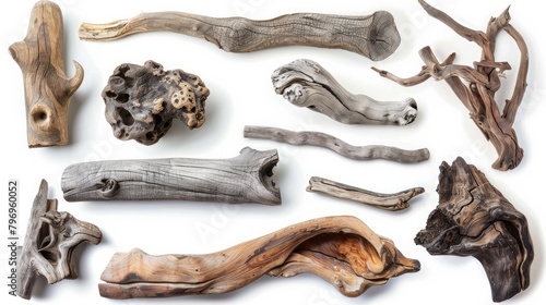 A collection of various textured pieces of driftwood artfully arranged on a clean white background.