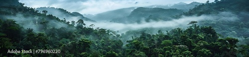 drone shot aerial view top angle panoramic photograph of steep deep valley canyon rainforest mountains peaks dense jungle. AI generated illustration