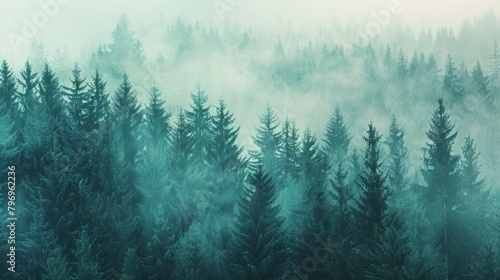 A misty landscape featuring a dense fir forest, rendered in a hipster vintage retro style