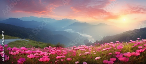Pink blooms adorn mountain backdrop at dusk