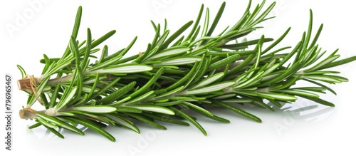 Sprig of rosemary on white surface