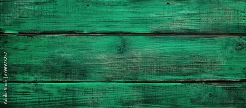 Green wooden wall with fresh paint