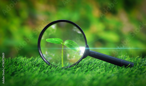 Magnifying glass focused on seedling tree growing on the grass in green garden background. Agriculture concept, suitability growing plants, research farming.Eco Nature friendly Environment Day.
