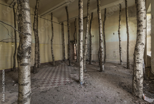 Tree trunks set up in a deserted room.