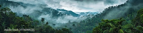 drone shot aerial view top angle panoramic photograph of steep deep valley canyon rainforest mountains peaks dense jungle. AI generated illustration