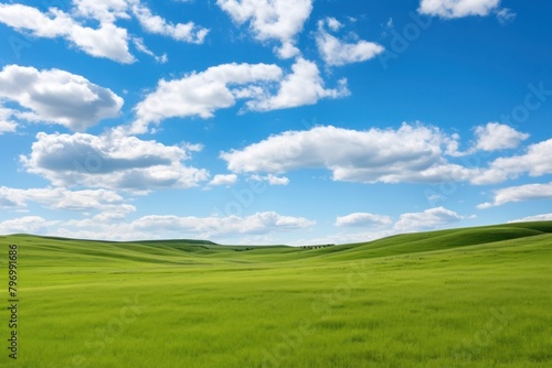 Grassland landscape outdoors horizon.