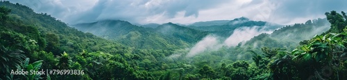 drone shot aerial view top angle panoramic photograph of steep deep valley canyon rainforest mountains peaks dense jungle. AI generated illustration