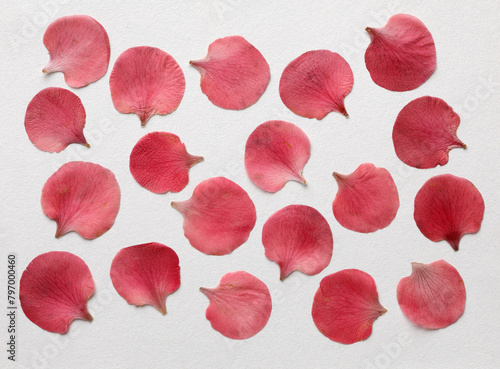 red rose petals background