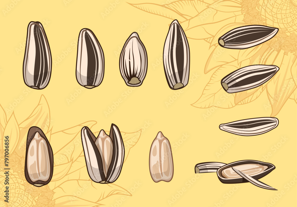 Set of sunflower seeds in vector. Elements for creating posters or advertising for a health food store. Vegetarian ingredients for cooking. Grains for sunflower oil. Background with pattern Set of sunflower seeds in vector. Elements for creating posters or advertising for a health food store. Vegetarian ingredients for cooking. Grains for sunflower oil. Background with pattern