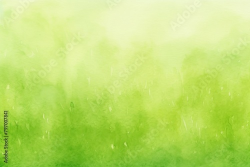 Green grass backgrounds texture plant.