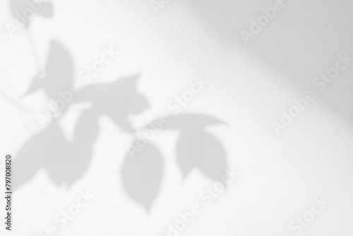 Leaf shadow and light on wall background. Nature tropical leaves tree branch and plant shade with sunlight from sunshine dappled on white wall texture for background wallpaper, shadow overlay effect
