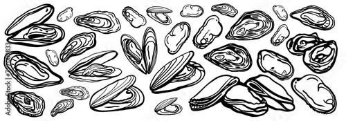 Isolated vector set of seafood. Mussels. Hand drawn seafood delicacy, restaurant and marine cafe menu. Design template. © HS