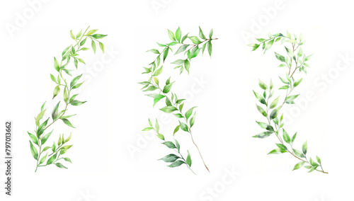 Curved willow branches with green leaves, on white background, perfect for crafts, greeting cards, home decor and eco-design