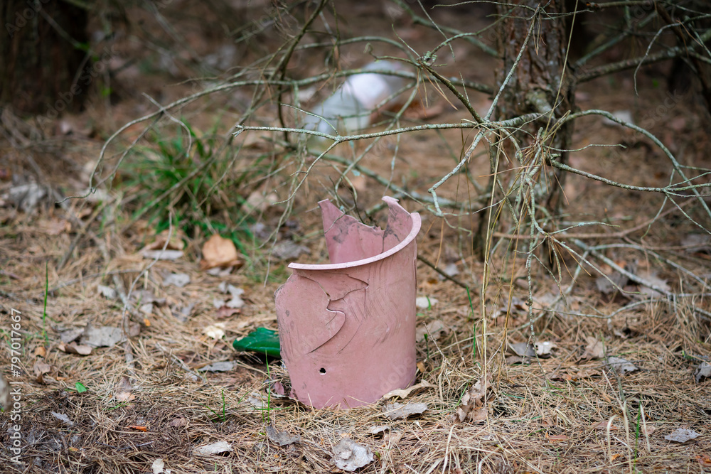 Fototapeta premium garbage in the forest