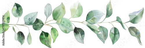 Watercolor Eucalyptus Floral Card Design Generative AI #797027476