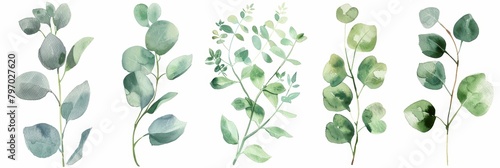 Watercolor Floral Illustration of Eucalyptus Leaves and Branches Generative AI
