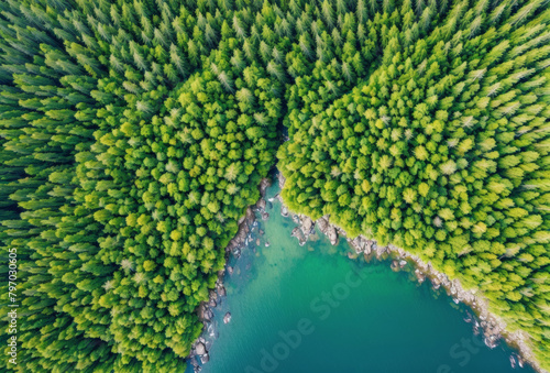 High-angle drone footage of a vibrant green forest bisected by a winding, crystal-clear river.. AI generated. © Petr