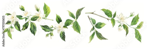 Delicate Jasmine Branches with Blooming Flowers Generative AI