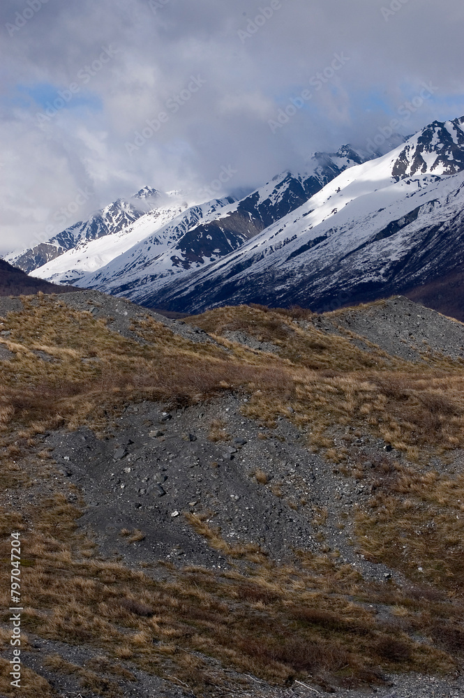 Alaska Field and Mountains 2