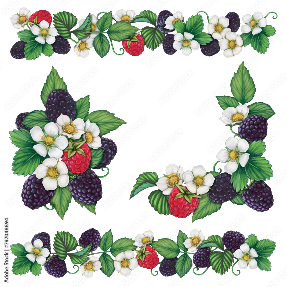 cute watercolor ha nd drawn blackberry elements