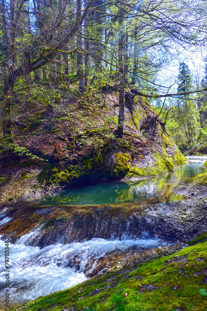 Die Obere Argen im Eistobel im Westallgäu (Bayern) Die Obere Argen im Eistobel im Westallgäu (Bayern)