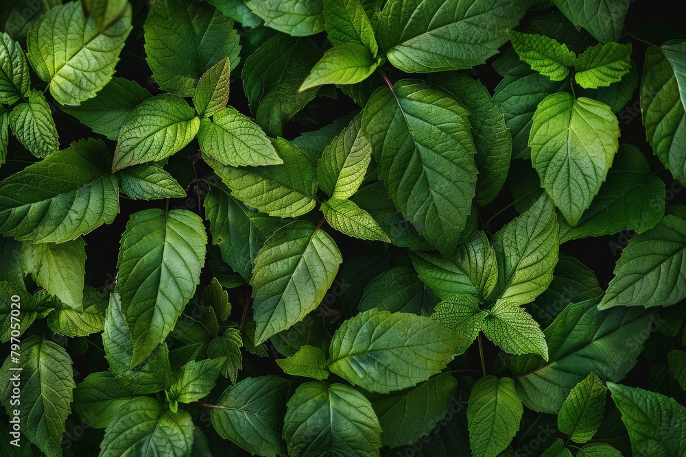 tropical leaves on a dark background - Generative AI. Beautiful simple AI generated image in 4K, unique.