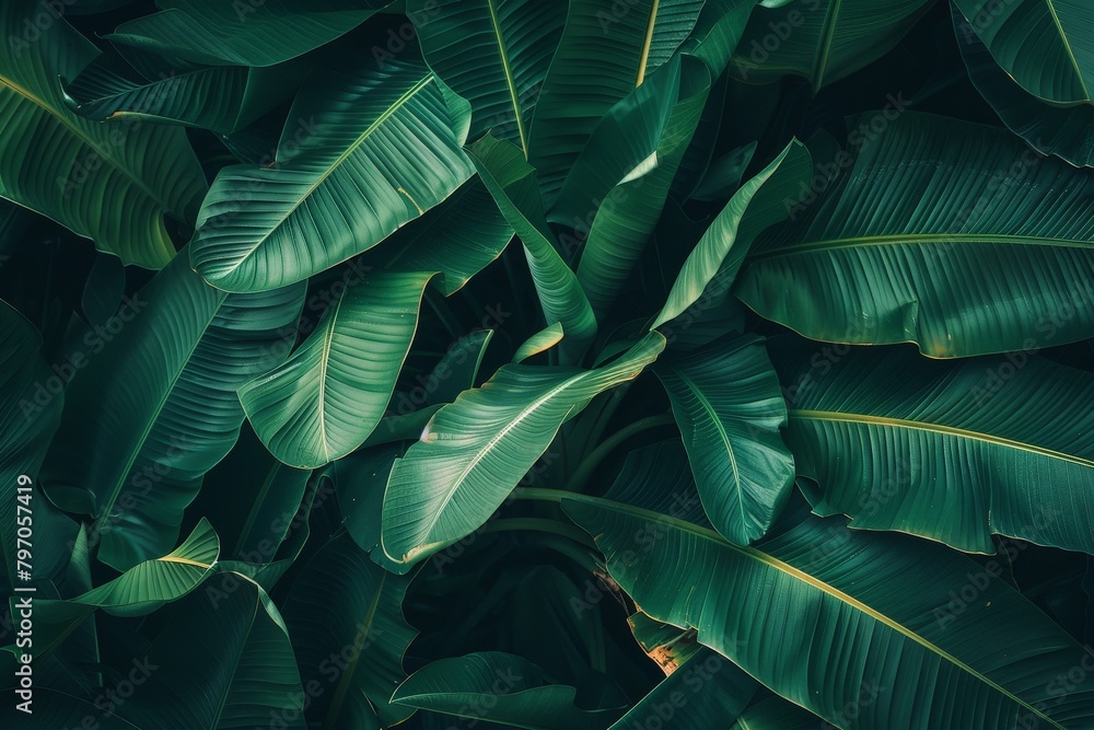 Close-up of vibrant green leaf.. Beautiful simple AI generated image in 4K, unique. Close-up of vibrant green leaf.. Beautiful simple AI generated image in 4K, unique.
