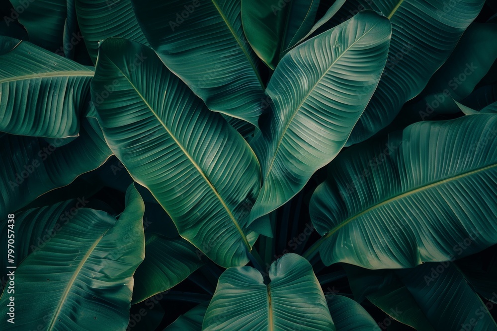 High-End Dark Green Leaves Seamless Texture. Beautiful simple AI generated image in 4K, unique. High-End Dark Green Leaves Seamless Texture. Beautiful simple AI generated image in 4K, unique.