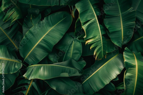 High-End Dark Green Leaves Seamless Texture. Beautiful simple AI generated image in 4K, unique. © ArtSpree