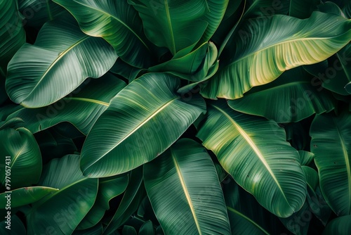 tropical leaves on a dark background - Generative AI. Beautiful simple AI generated image in 4K, unique.