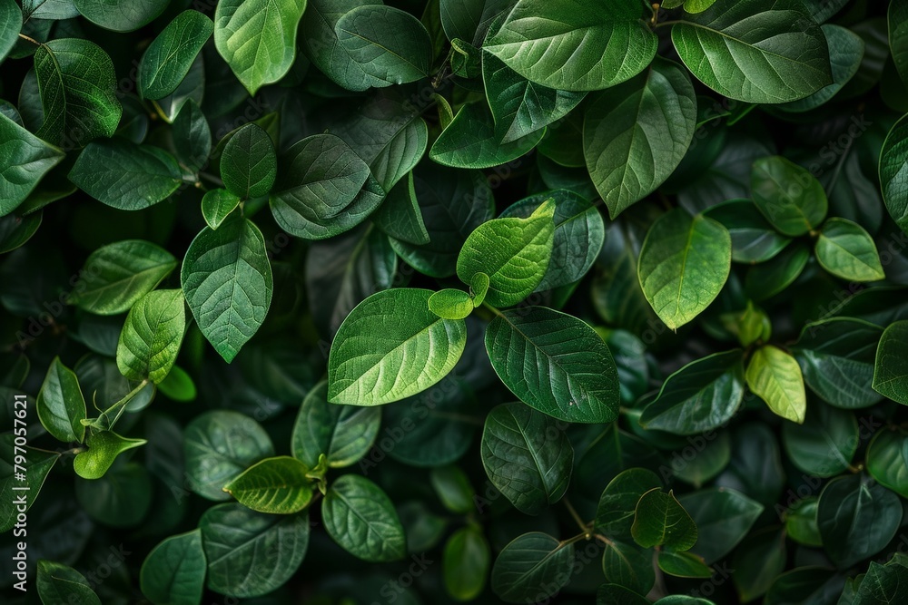 tropical leaves on a dark background - Generative AI. Beautiful simple AI generated image in 4K, unique. tropical leaves on a dark background - Generative AI. Beautiful simple AI generated image in 4K, unique.
