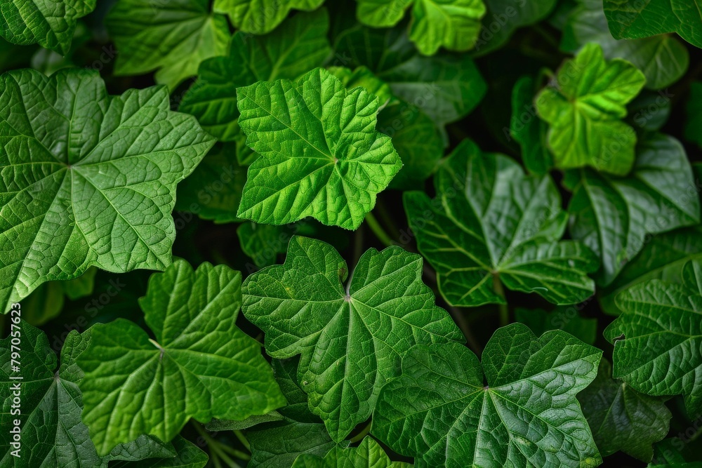 tropical leaves on a dark background - Generative AI. Beautiful simple AI generated image in 4K, unique. tropical leaves on a dark background - Generative AI. Beautiful simple AI generated image in 4K, unique.