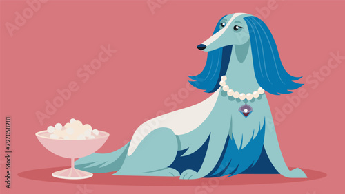 An elegant Afghan hound shows off her designer pearl necklace and sips from a personalized crystal dog bowl while being fed handprepared raw food.. photo