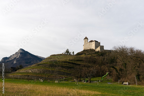 a small castle on a hill surrounded by vineyards in the European Alps