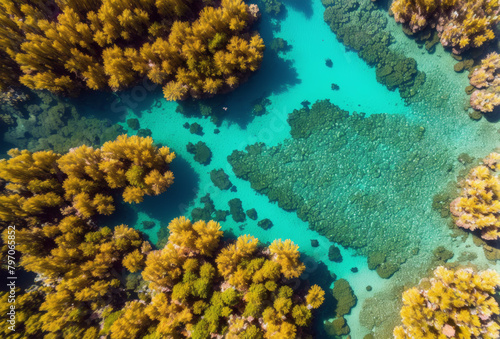 Spectacular overhead drone capture of sunlit coral reefs in shallow emerald waters. AI generated.