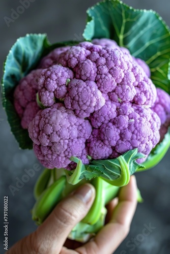 Person holding purple cauliflower, a violet vegetable with green leaves