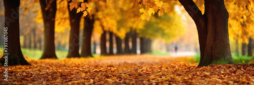 kolorowe drzewa i wiejska droga w głębokim lesie jesienią, naturalne tło