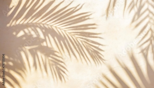 blurred shadow from palm leaves on light cream wall beautiful summer spring studio background overlay