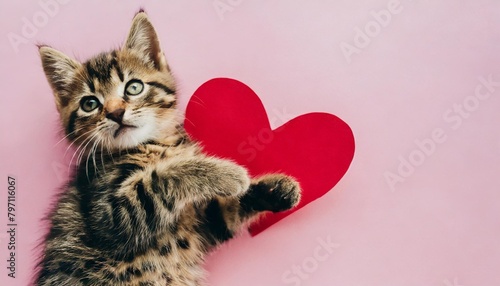 cute tabby kitten hugging a paper red heart cat lying on a back on pink background in top view love concept for valentine s day banner ad billboard for animal shelter veterinary clinic